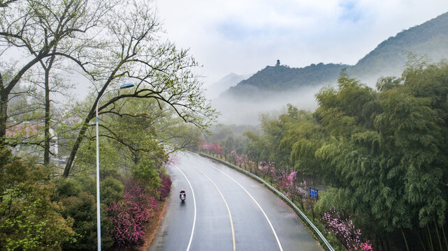 春日风景