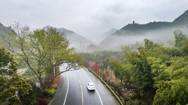 春天里的乡村公路