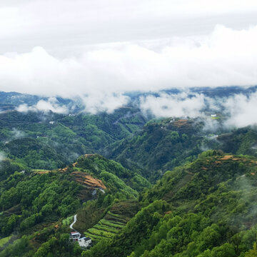 大山风景