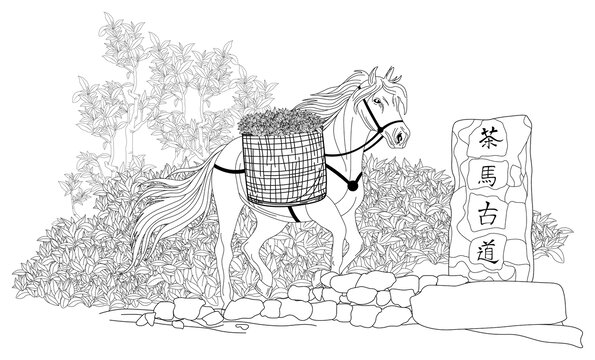 茶馬