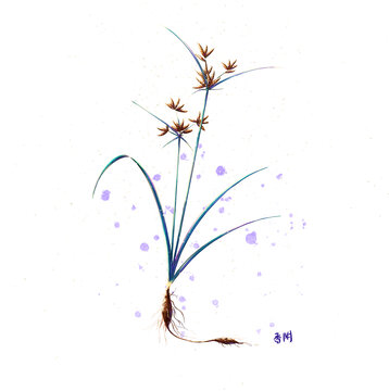 香附