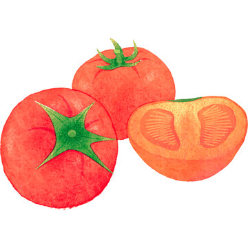 手绘农产品素材番茄