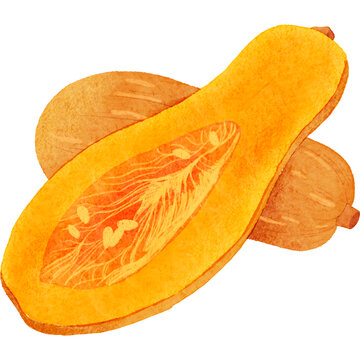 手繪農(nóng)產(chǎn)品素材木瓜