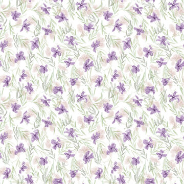 米底浅绿叶浅紫花