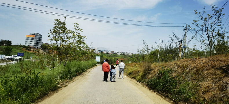 道路