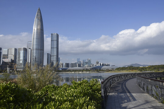 粤港澳大湾区风光