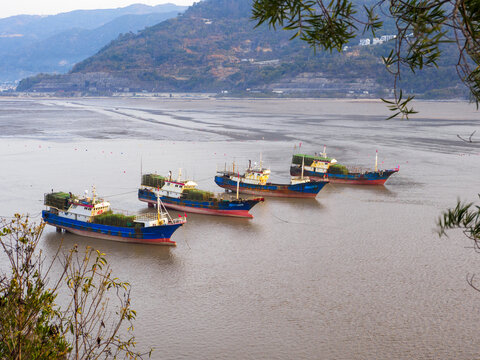 宁德市霞浦县北岐滩涂