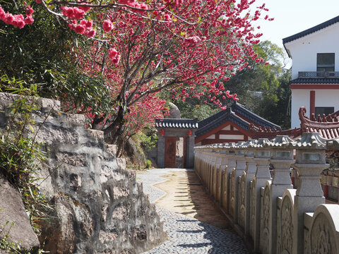 宁德市霞浦县留云禅寺