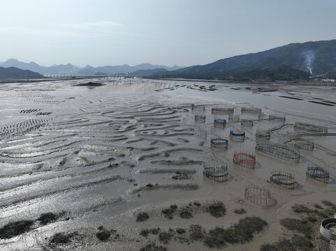 宁德市霞浦县南湾甲骨文摄影