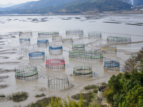 宁德市霞浦县南湾甲骨文摄影