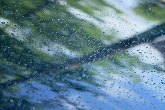 绿色天空水珠下雨谷雨雨后