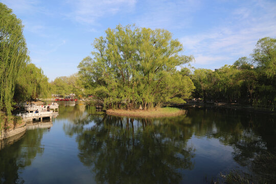 北京紫竹院公园景色