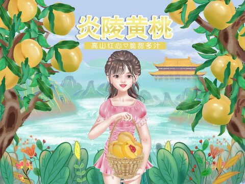 炎陵黃桃包裝設(shè)計插畫