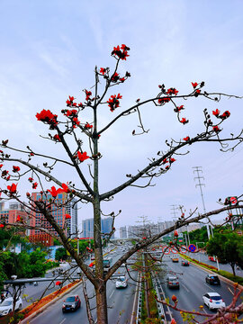 城市风景