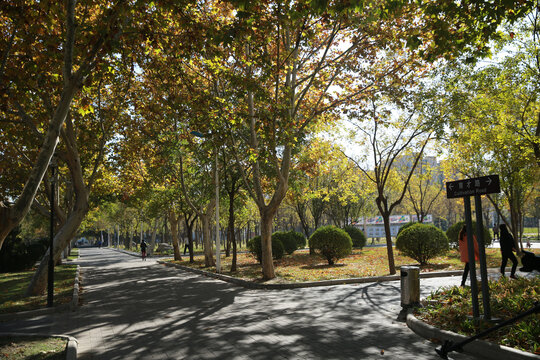 天津职业师范大学