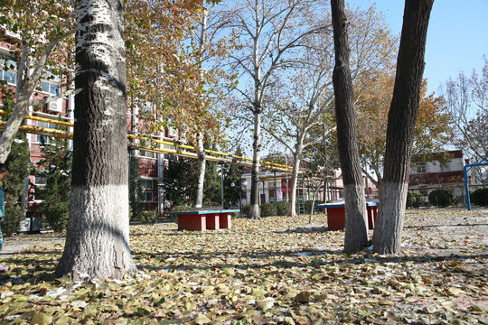 天津职业师范大学