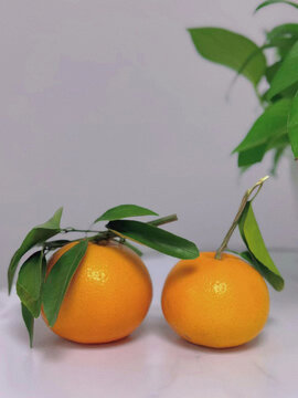 鲜橙子特拍