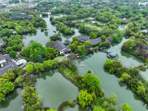 湿地自然风光