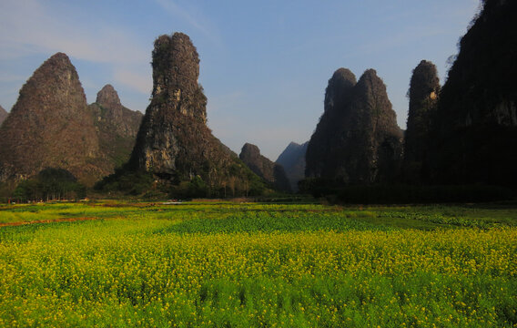 东山奇峰