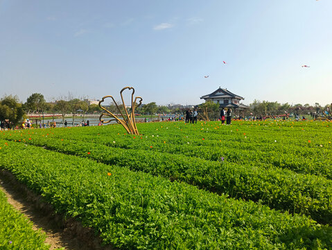 花海小镇