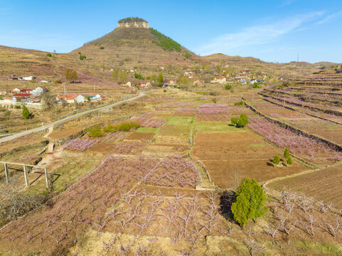 蒙阴岱崮地貌桃花节