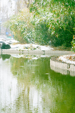 雪景