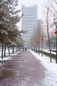 雪景