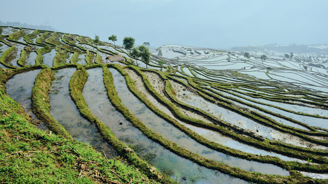 红河撒马坝梯田