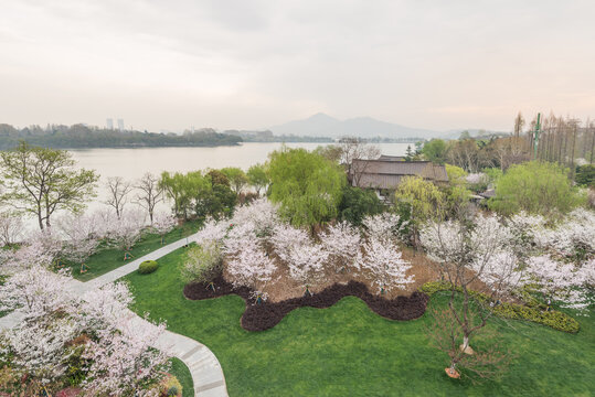 樱花季南京的玄武湖公园