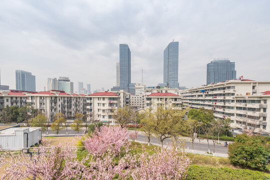 樱花季中国南京的城市风景