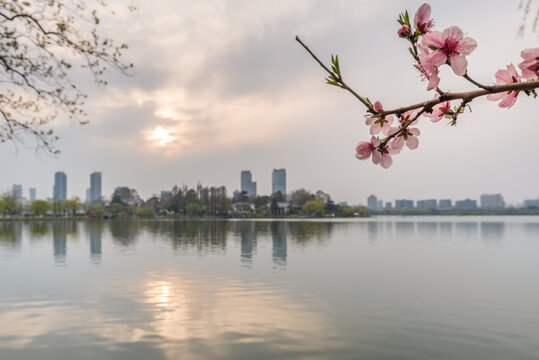 春天南京玄武湖公园风光