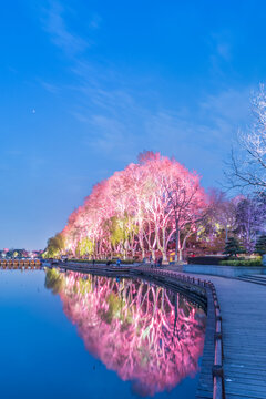 南京玄武湖公园夜景