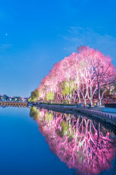 南京玄武湖公园夜景