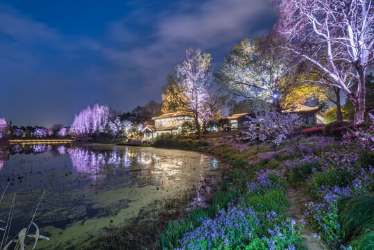 南京玄武湖公园夜景