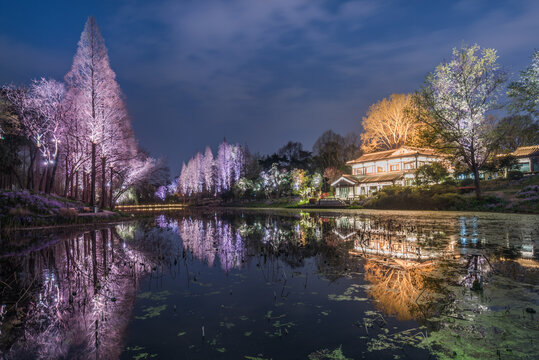 南京玄武湖公园夜景