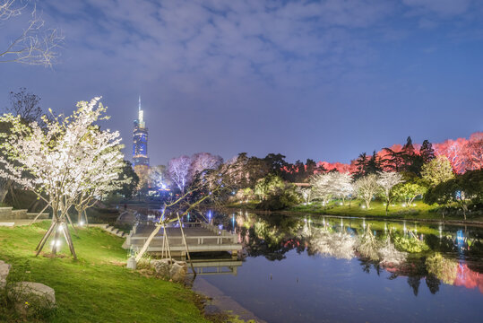 南京玄武湖公园夜景