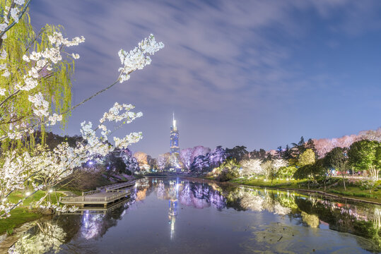 南京玄武湖公园夜景