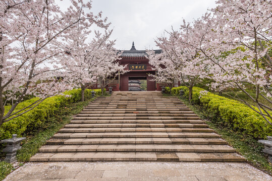 南京牛首山的樱花和古建筑