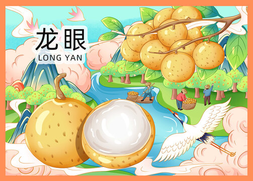 龍眼插畫手繪