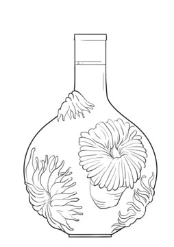 高端瓶型海葵