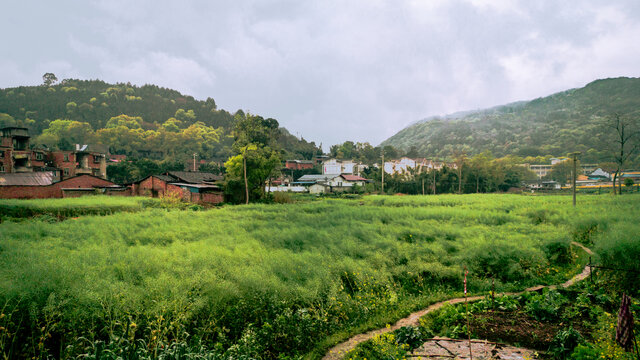 雨后乡村