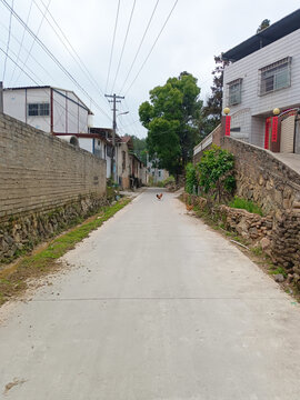 乡间小路