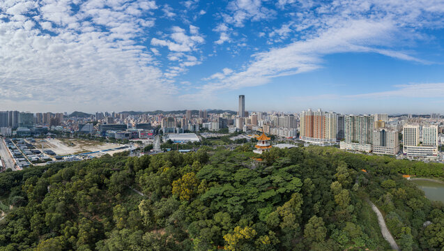 虎门镇全景