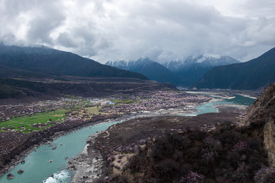 西藏旅游林芝桃花