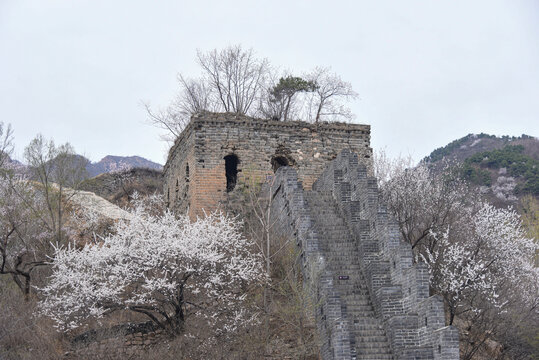 青山关古长城春季风光