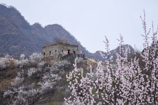 青山关古长城春季风光