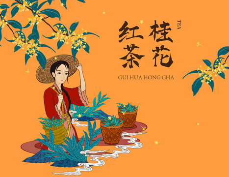 桂花红茶