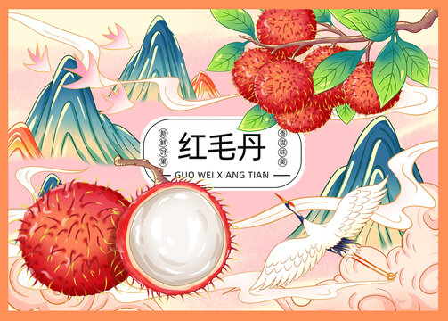 紅毛丹插畫手繪