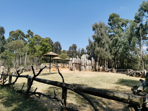 动物园景观围栏