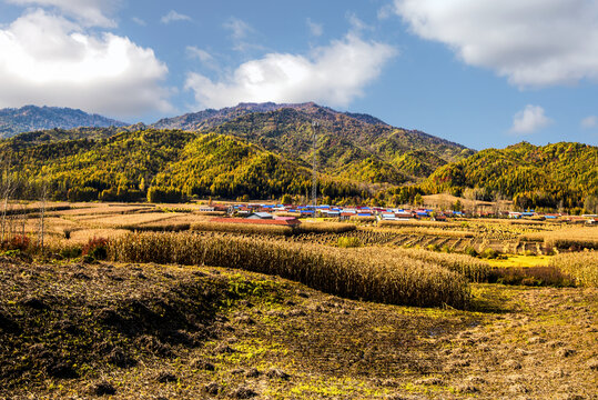 远山乡村农田